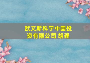 欧文斯科宁中国投资有限公司 胡建